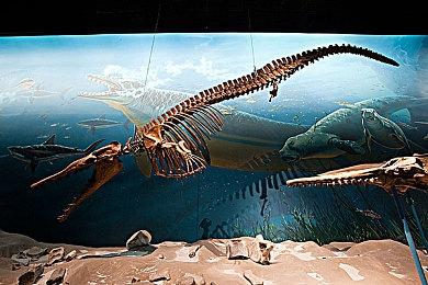 卡通风开放世界《Europa》跳票明年 试玩上线