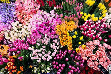 《球胜大本营》第三赛季预告 “黑客入侵”上线